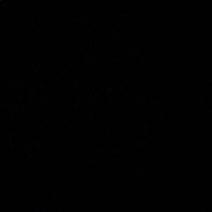 Meet your Posher, Rhi